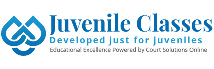 online court approved classes,anger management course online,drug and alcohol education,theft prevention course,shoplifting prevention course,vaping awareness course,life skills training,online decision making skills course,online cognitive thinking course,online court mandated class,marijuana and THC awareness course,Online Vaping Course,Online Anger Management Course,Controlling Anger Course Online
